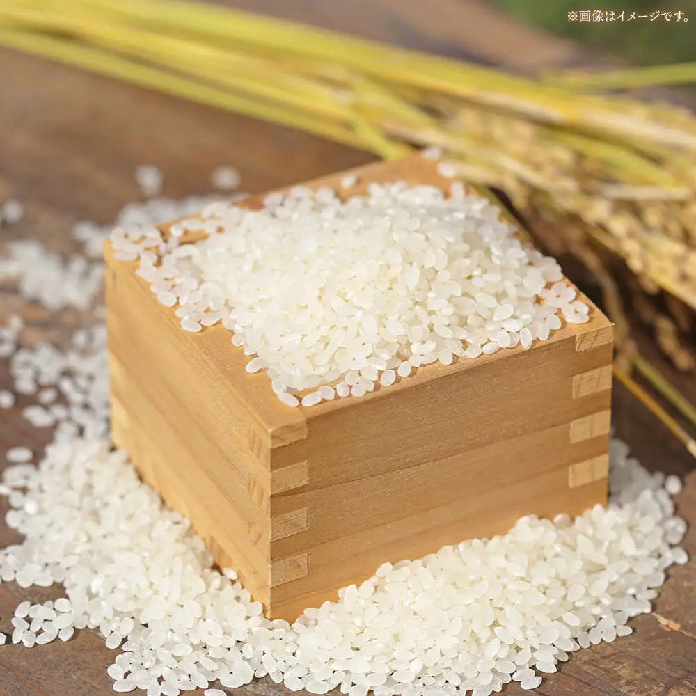 令和7年産 コシヒカリ 5kg 白川町 / 白川町農業開発[AWAH030]コシヒカリ