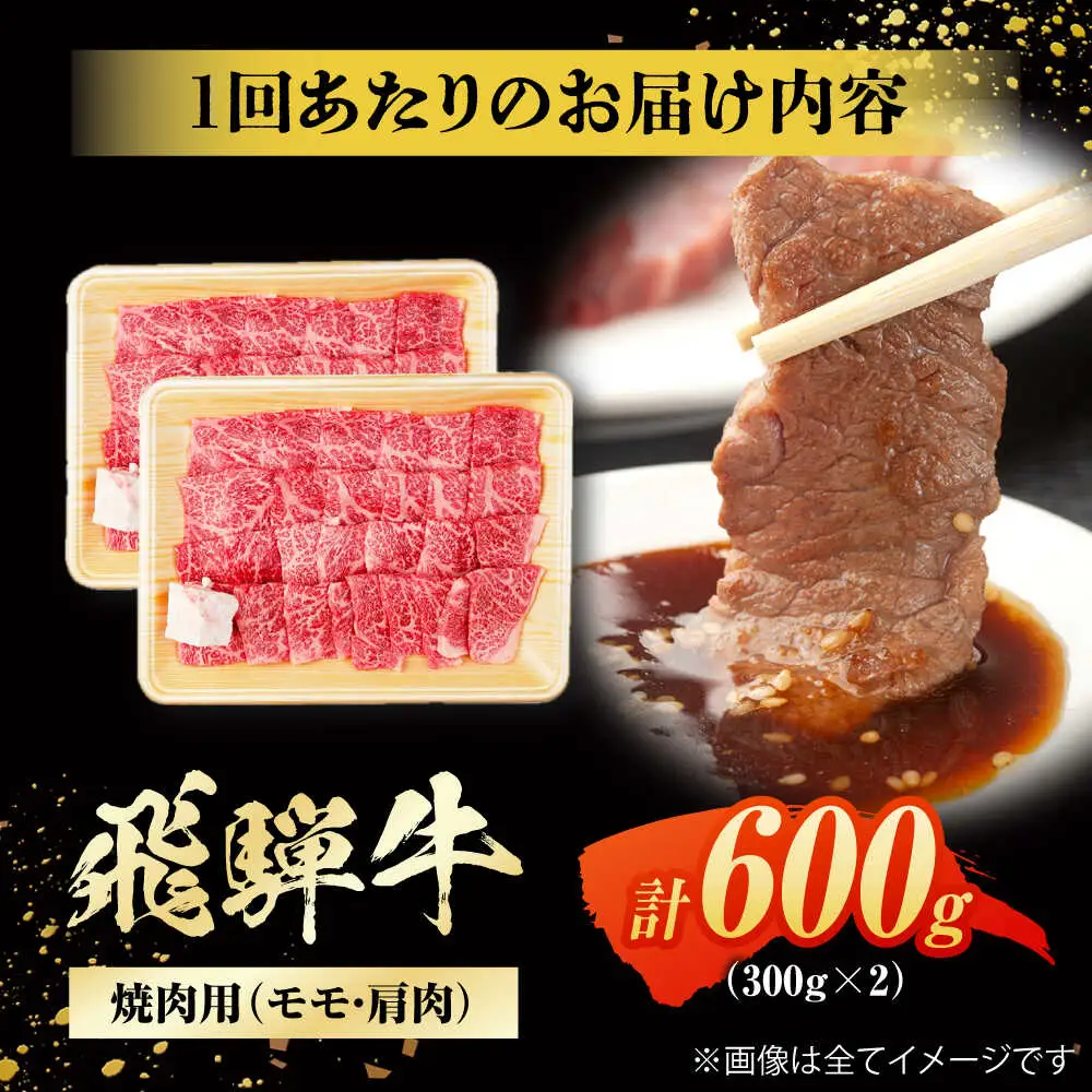 【3回定期便】飛騨牛 焼肉用赤身 600g / 浅井商店[AWBJ012] 飛騨牛