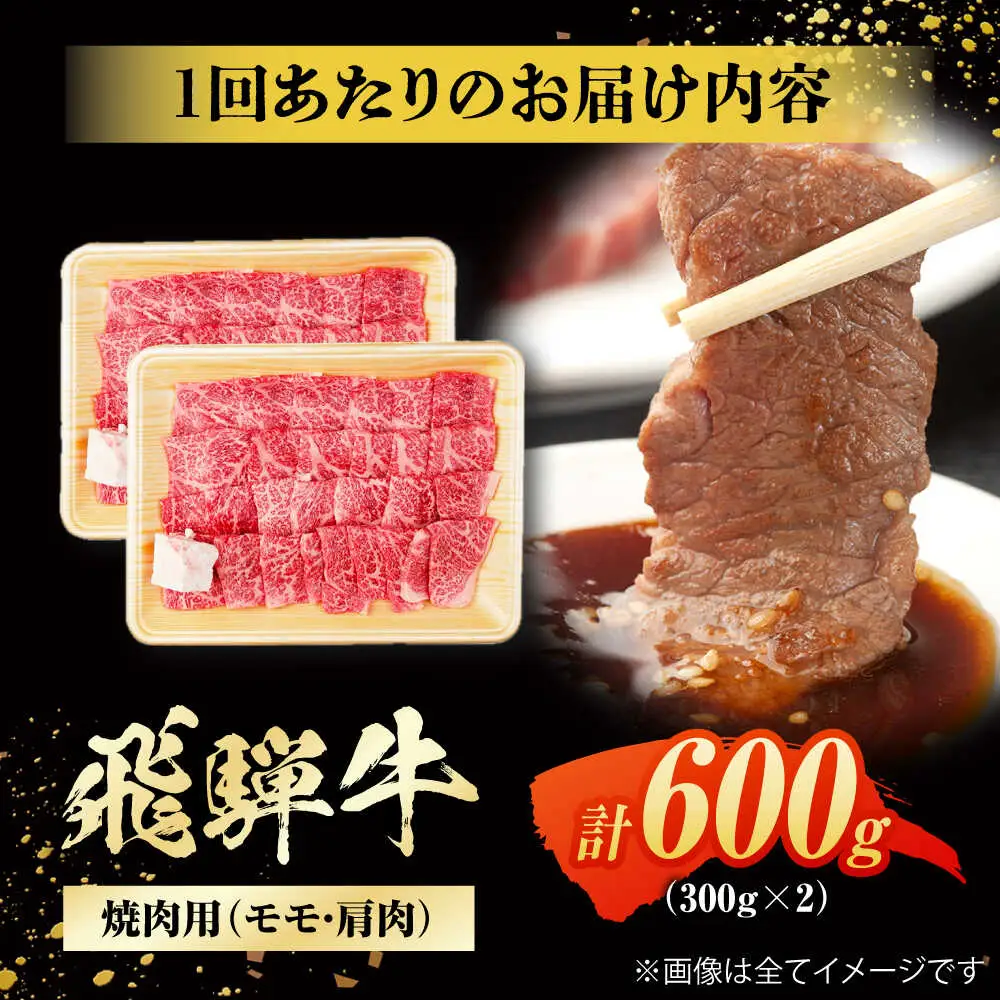 【6回定期便】飛騨牛 焼肉用赤身 600g / 浅井商店[AWBJ013] 飛騨牛