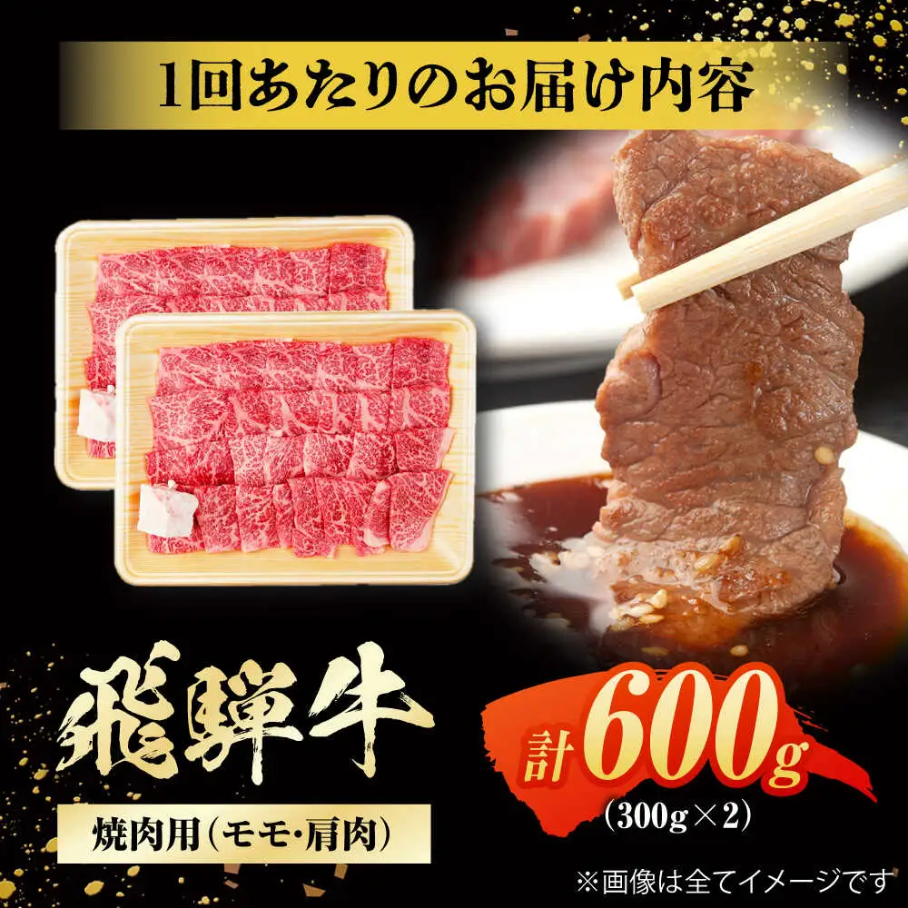 【12回定期便】飛騨牛 焼肉用赤身 600g / 浅井商店[AWBJ014] 飛騨牛