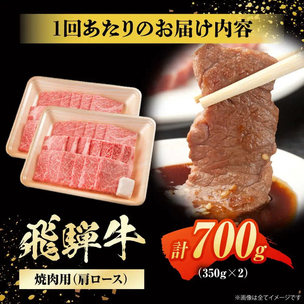 【12回定期便】飛騨牛 焼肉用肩ロース 700g / 浅井商店[AWBJ017] 飛騨牛