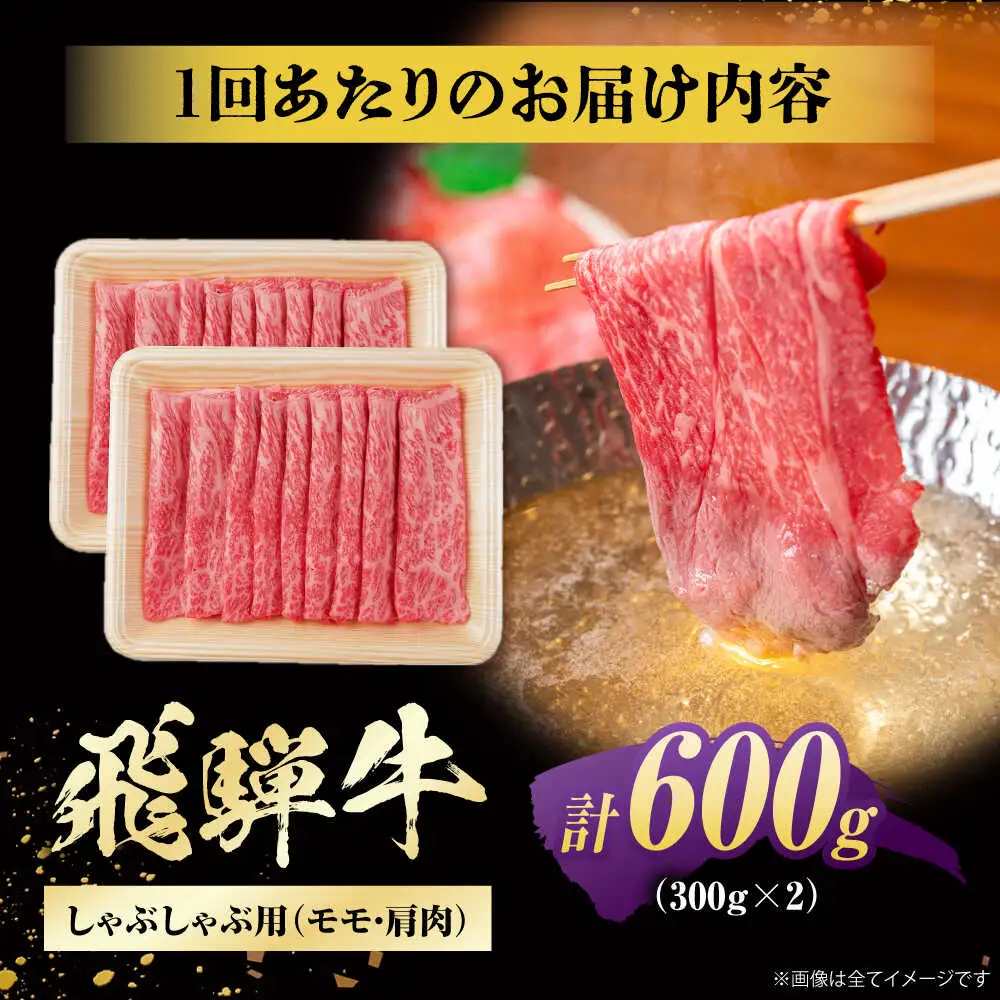 【12回定期便】飛騨牛 牛しゃぶ用赤身 600g / 浅井商店[AWBJ020] 飛騨牛