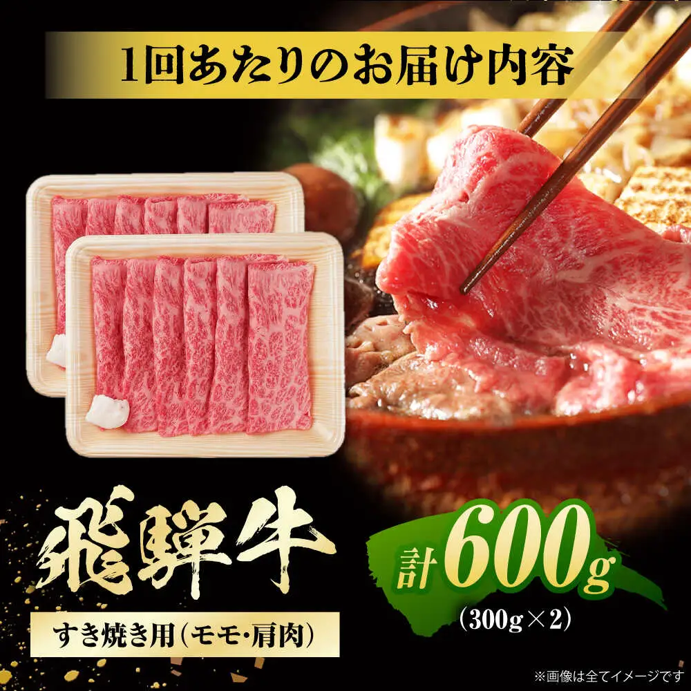 【6回定期便】飛騨牛 すき焼き用赤身 600g / 浅井商店[AWBJ025] 飛騨牛