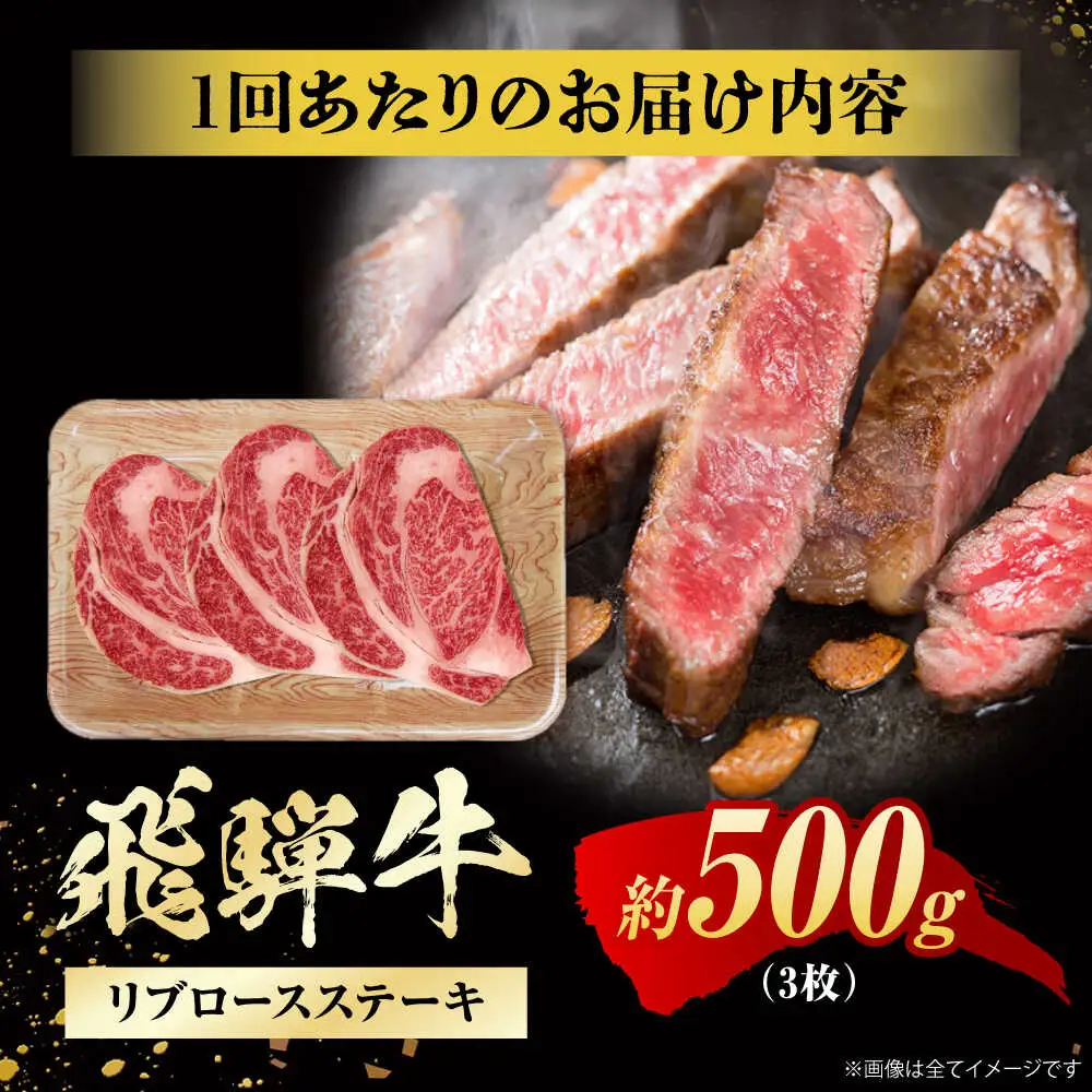 【3回定期便】飛騨牛 ステーキ用計500g / 浅井商店[AWBJ030] 飛騨牛