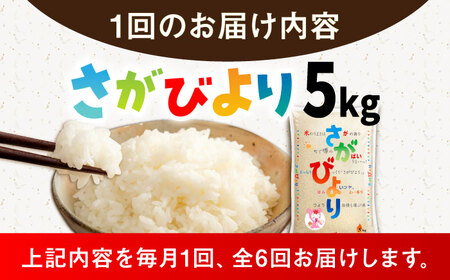 【6回定期便】さがびより 白米 5kg /JA食糧さが[UDS006] さがびより 定期