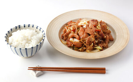 恵那どり 鶏ちゃん（しょうゆ味）230ｇ×6袋【スピード配送】/ 恵那市 / カネ周 [AUAY001]
