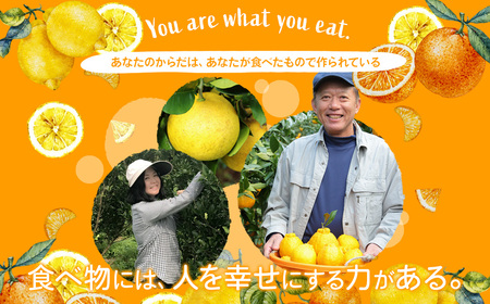 環境マイスターの不知火 良品2.5kg （栽培期間中は無肥料・低農薬） 果物 くだもの フルーツ 不知火 しらぬい 柑橘 みかん 【2027年2月上旬-4月下旬迄順次発送予定】