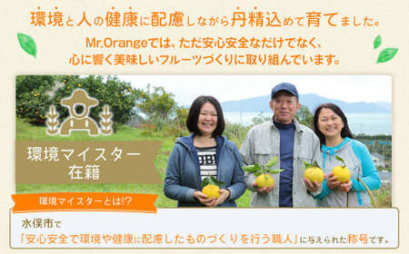 環境マイスターのポンカン 良品・訳あり混合 4kg （栽培期間中は無肥料・農薬不使用） 果物 くだもの フルーツ ぽんかん 柑橘 みかん 【2027年1月下旬-3月上旬迄順次発送予定】