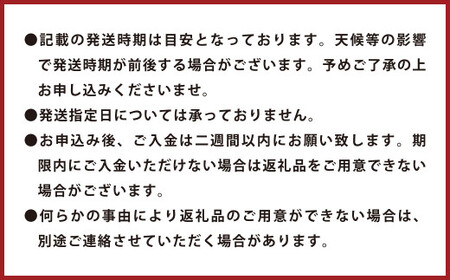 【訳あり】環境マイスターの不知火 20kg （栽培期間中は無肥料・低農薬） 果物 くだもの フルーツ 不知火 しらぬい 柑橘 みかん 【2027年2月上旬～5月上旬迄順次発送予定】