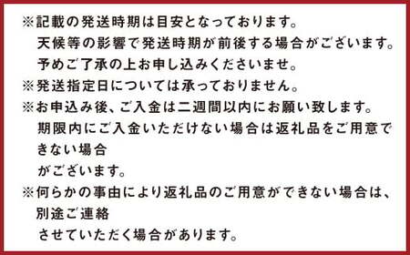 環境マイスターのブラッドオレンジ 良品・訳あり混合 3kg 【2027年2月上旬-3月上旬迄順次発送予定】オレンジ くだもの 果物 フルーツ ブラッドオレンジ