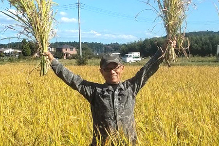 【令和7年産】獅子米限定プレミアムセット（限定10セット）プレミア5 お米 米 5kg 食べ比べ セット 産地直送 茨城県 石岡市 B02-085