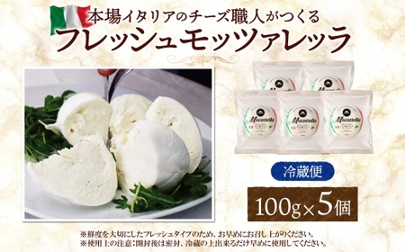 モッツァレラ 100g×5｜チーズ モッツァレラチーズ 北海道 札幌市
