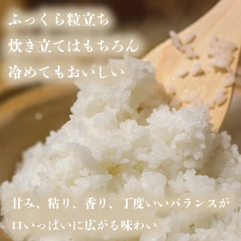 【精米】 【新米予約】令和8年産 ヒノヒカリ 八千種米 お米 5kg ごはん 兵庫県産 世界かんがい施設遺産登録『西光寺野疏水路』