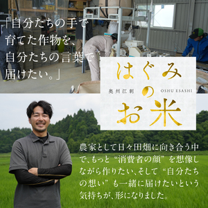 特別栽培米 hugmiのお米 奥州江刺産 ひとめぼれ 約9kg (約4.5kg×2袋)  白米 [BJ008]