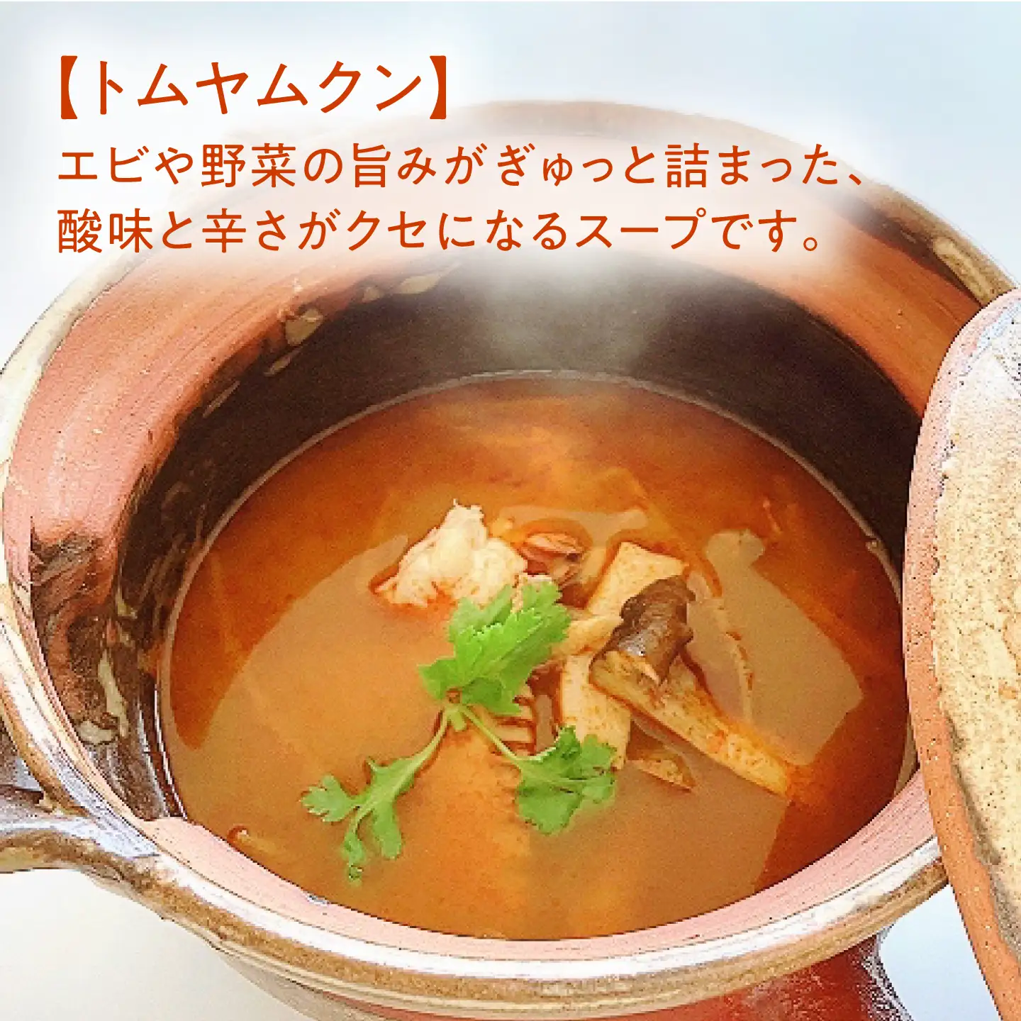 三種のスープ セット 約180g×5パック (かぼちゃのスープ・グリーンカレー・トムヤムクン) 【SOUP LABO】[AYAK001]