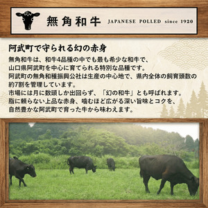無角和牛100％ 噛む噛むハンバーグ 5個セット
