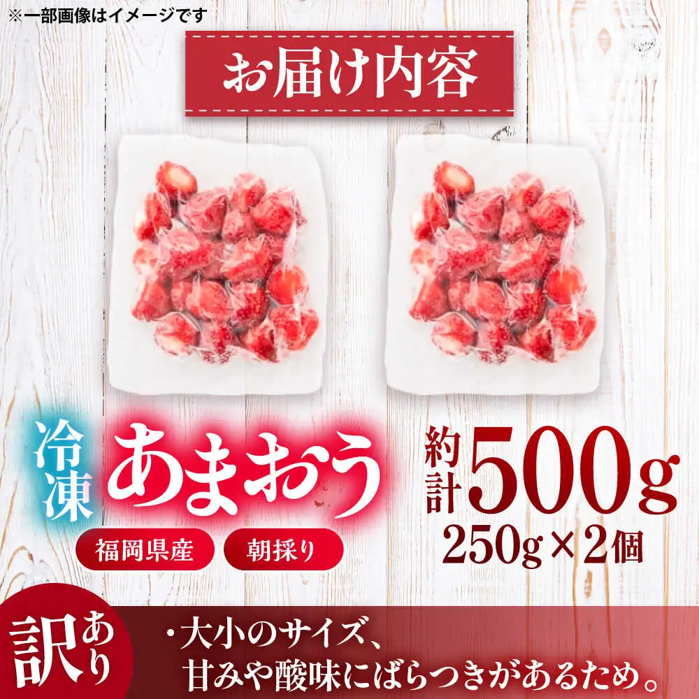 【訳あり】福岡県産 冷凍あまおう500g(250g×2個) [VEG011]いちご 苺 イチゴ 取り寄せ