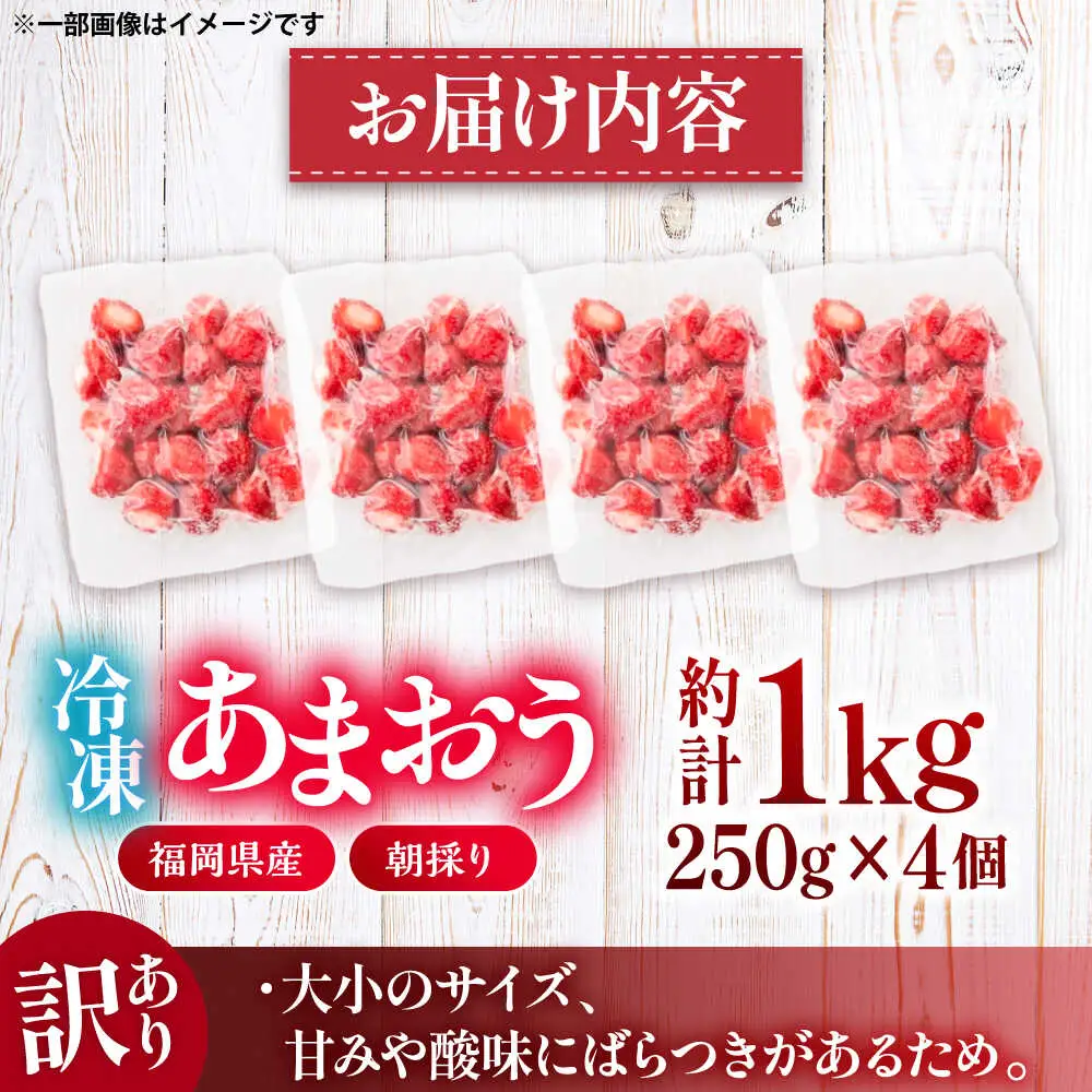 【訳あり】福岡県産 冷凍あまおう 1kg (250g×4個) [VEG012] いちご 苺 イチゴ 取り寄せ