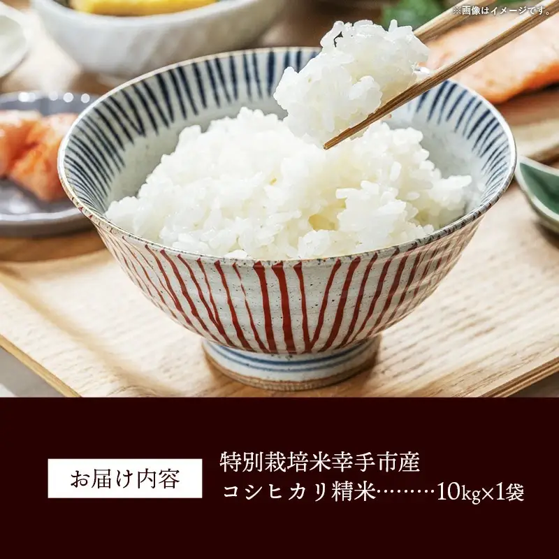 【令和7年産】無農薬・無化学肥料栽培 埼玉県幸手市産特別栽培コシヒカリ 「幸ヒカリ」精米10kg -  米 特別栽培米 幸手市産