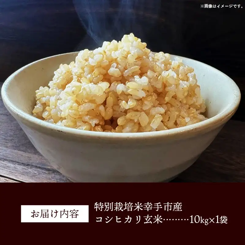 【令和7年産】無農薬・無化学肥料栽培 埼玉県幸手市産特別栽培コシヒカリ 「幸ヒカリ」玄米10kg - 米 特別栽培米 幸手市産