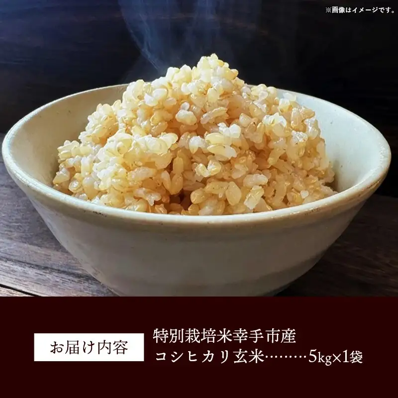 【令和7年産】無農薬・無化学肥料栽培 埼玉県幸手市産特別栽培コシヒカリ 「幸ヒカリ」玄米5kg -  米 特別栽培米 幸手市産