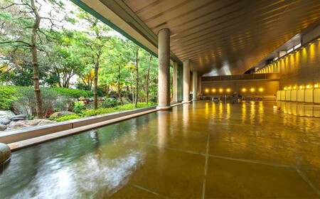 ホテル 花水木 本館 和室 宿泊券 1泊2食付 4名 ／ ナガシマリゾート 旅行券 ホテル宿泊券 純和風 長島温泉 湯あみの島 ナガシマスパーランド なばなの里 宿泊 チケット 三重県 桑名市 長島