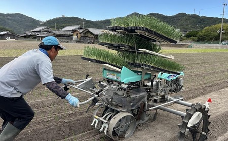 【新玉予約】トロっと甘い！！淡路島産新玉ねぎ 10㎏◆R9.3月上旬～5月中旬発送