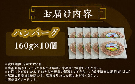 短角牛 ハンバーグ 160g×10[BEAI090]