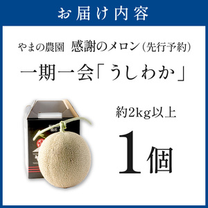 感謝のメロン 「うしわか」 1玉 ≪先行予約≫ フルーツ メロン【FN1268-1】