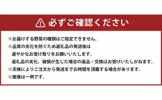 【先行予約】【訳アリ】朝採れ！アグリ福ちゃん 冬野菜セット（5種類） 旬 野菜 冬野菜 セット 【2026年12月上旬-2027年2月下旬頃発送予定】 ZS-6135