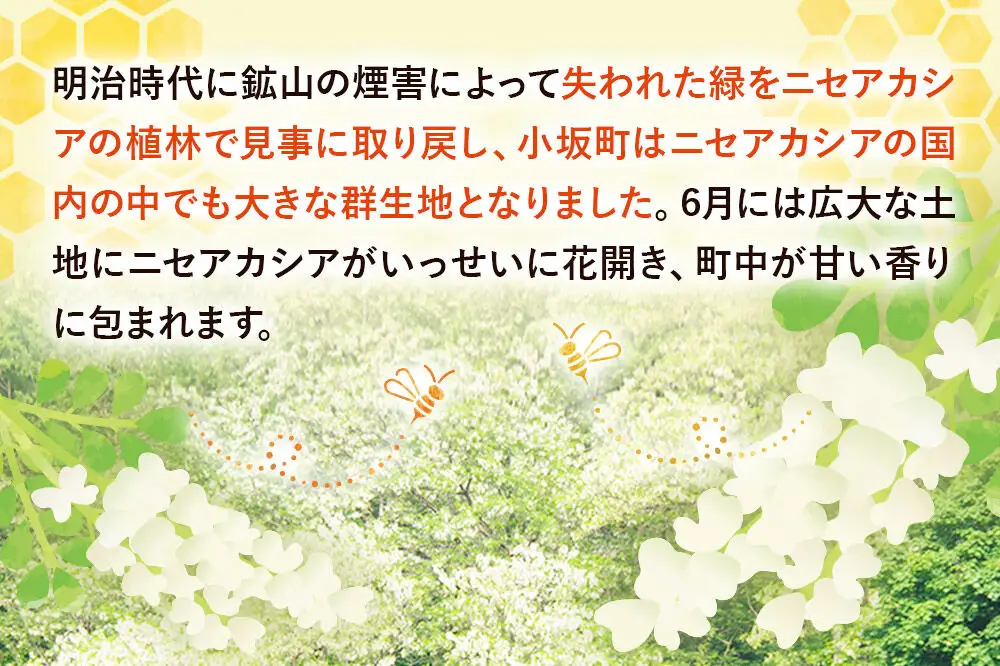 はちみつ あかしあ蜂蜜セット（200g×8本）国産 秋田県小坂町