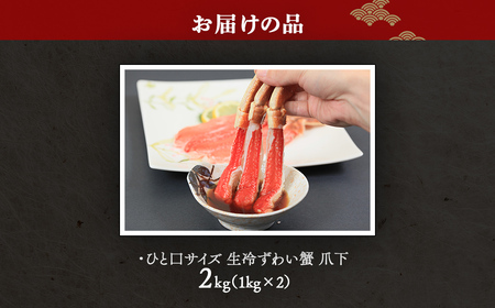 【お刺身可】ひと口サイズ 生冷ずわい蟹 爪下 2kg（1kg×2） ABB161 | ずわい蟹