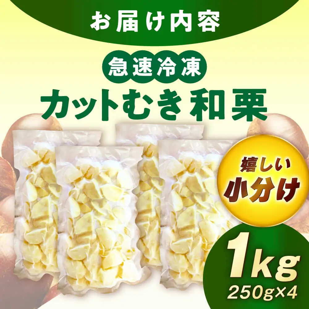 【先行予約】冷凍むき栗「日本栗」 カット1kg（250g×4P） / 恵那市 / えな笠置山栗園 [AUAV007]