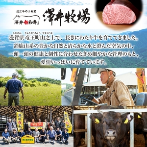 【 先行予約 】 近江牛 ヒレステーキ 4枚 計480g 柔らかい 甘み 肉質 ジューシー 霜降り ブランド 肉 にく 牛 牛肉 国産 松坂牛 神戸牛 に並ぶ ギフト 贈答 ご褒美 滋賀県 竜王町 澤井牧場
