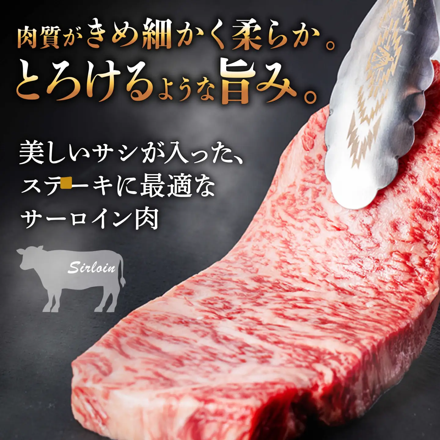 【10月発送】【飛騨牛】 A5等級 サーロイン ステーキ用 3枚 (計750g) 和牛 ブランド牛 国産 牛肉 多治見市 / 渡辺精肉店 [TAZ001-10]