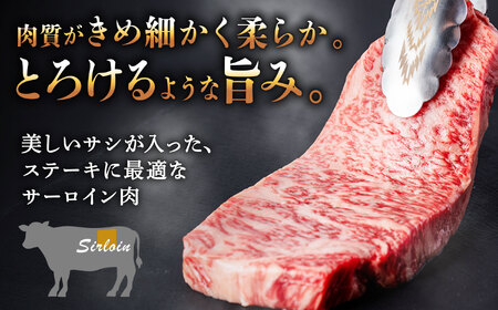 【12月発送】【飛騨牛】 A5等級 サーロイン ステーキ用 10枚 (計2.5kg) 和牛 ブランド牛 国産 牛肉 多治見市 / 渡辺精肉店 [TAZ003-12]