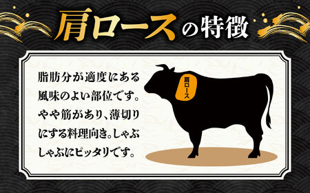 【9月発送】【飛騨牛 すき焼き用】 A5等級 ロース / 肩ロース 500g 和牛 ブランド牛 国産 牛肉 多治見市 / 渡辺精肉店 [TAZ006-9]