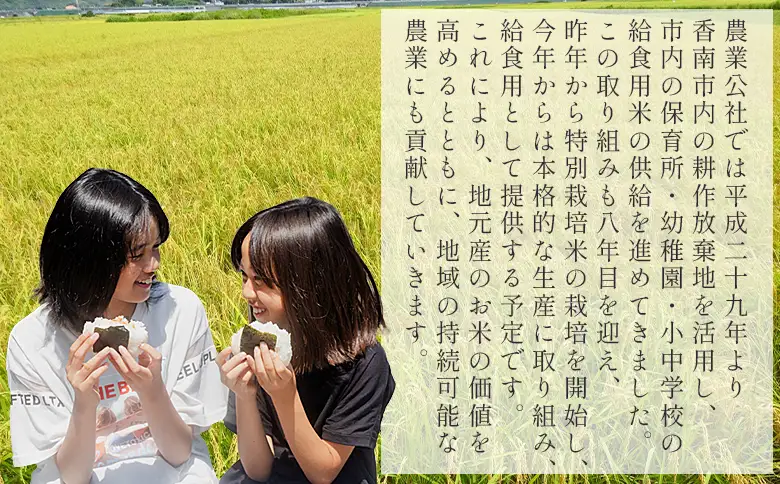 【2回定期便】無洗米令和8年産高知県コシヒカリ5kg 無洗米 Wnu-0007