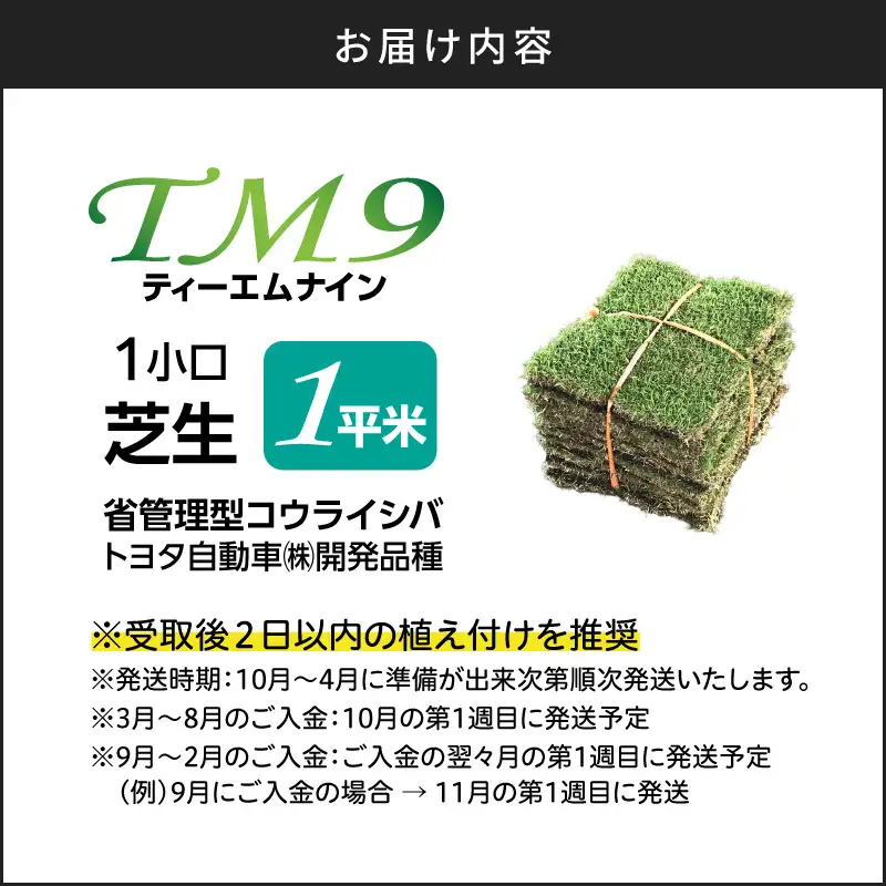 TM9（ティーエムナイン）省管理型 コウライシバ トヨタ自動車(株)開発品種 1平米 KN080-007-01 芝生 芝 庭