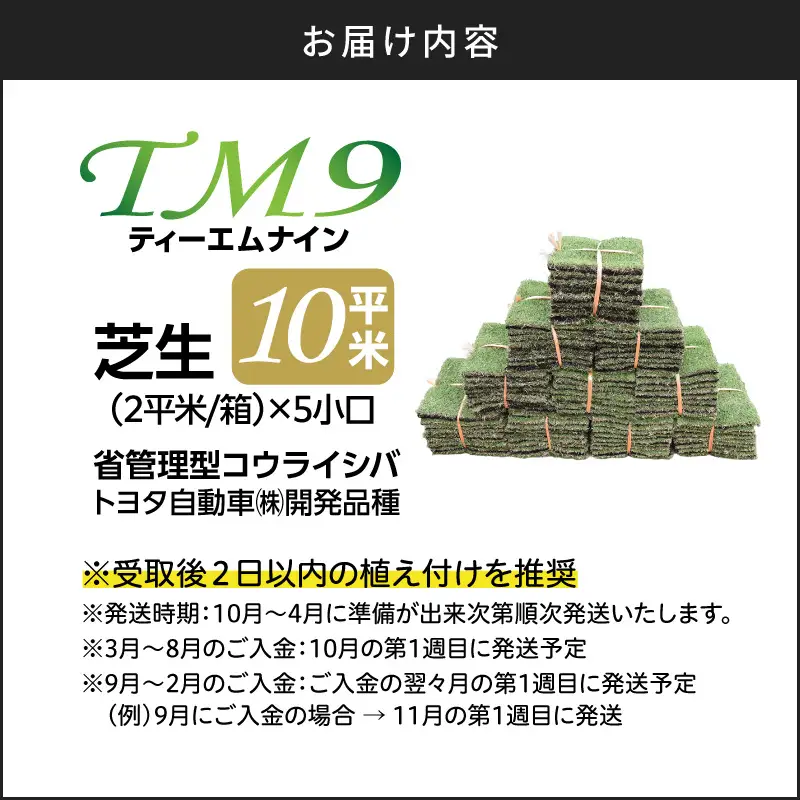 TM9（ティーエムナイン）省管理型 コウライシバ トヨタ自動車(株)開発品種 10平米 KN080-007-03 芝生 芝 庭