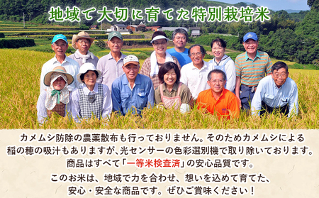 ＜令和7年産 西予市産 特別栽培米 エコえひめ コシヒカリ 白米 約5kg＞国産 精米 農薬・化学肥料不使用 一等米 約5キロ 愛媛県産 こしひかり お米 米 コメ 産地直送 送料無料 シゲちゃん農園 愛媛県 西予市【常温】『最短10営業日以内に順次発送予定』NSN0001