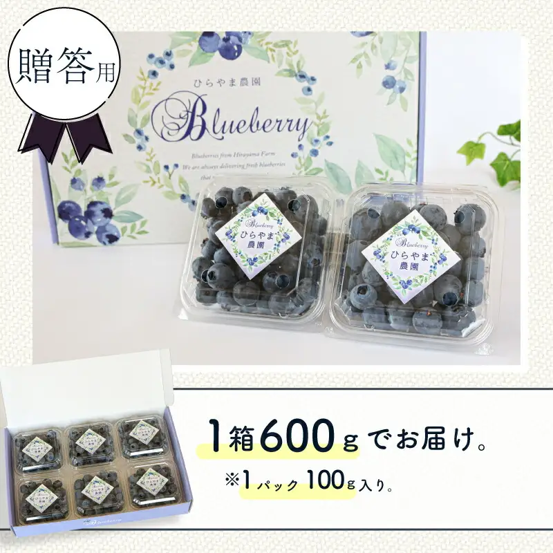 【先行予約】【全2回定期便】完熟生ブルーベリー （サザンハイブッシュ系）各600g（100ｇ×6パック） | フルーツ 果物 ベリー