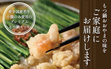 もつ鍋セット 博多食べ比べ おおやま・上田商店 醤油味 もつ鍋セット【2種】