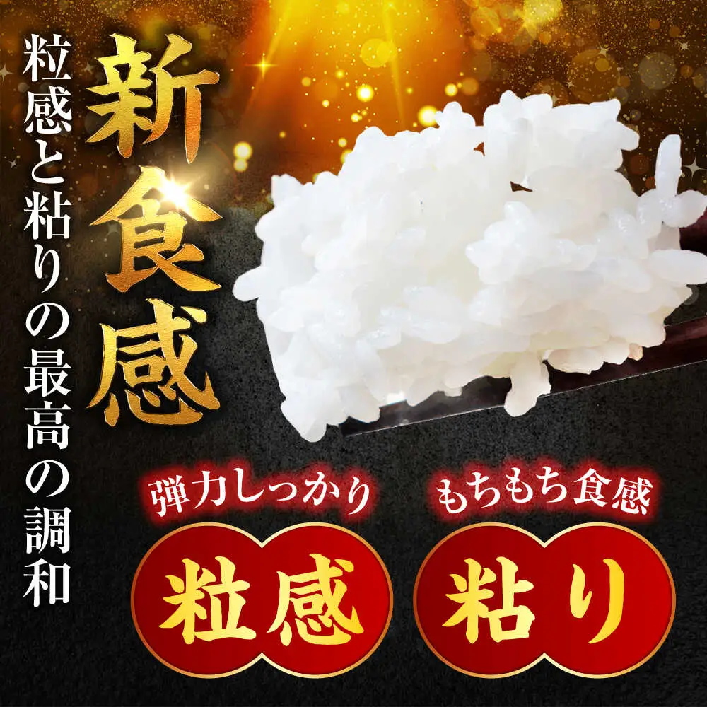 【2回定期便】【福井県産】 1回目：コシヒカリ 白米 10kg 2回目： いちほまれ 白米 10kg 福井県米 / コシヒカリ発祥 ブランド 特A常連 小浜市 / 若狭ふれあい市場[BFEL052]