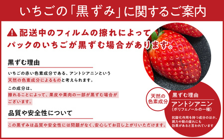 いちご【2027年1月～発送予定】大ちゃんの古都華 270g×2パック drm002