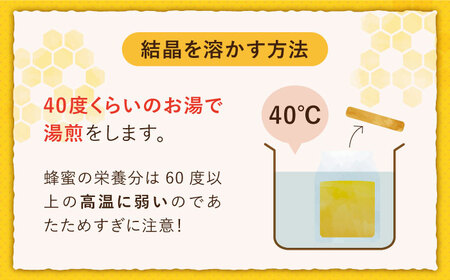 ★新蜜2025★【長崎県産】大和蜜（天然はちみつ）170g×2本 長与町/蜜ロマン養蜂園[ECE006]