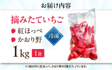 冷凍いちご 1kg（紅ほっぺ・かおり野） 滋賀県長浜市/株式会社みつなりのさと[AQBT013]