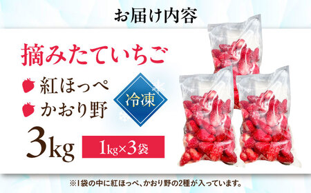 冷凍いちご 3kg （紅ほっぺ・かおり野1kg×3P） 滋賀県長浜市/株式会社みつなりのさと[AQBT014]