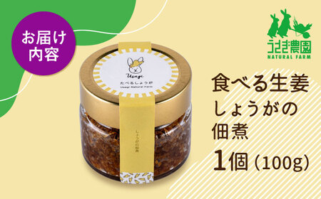 食べる生姜 しょうがの佃煮 (100g×1個)【うさぎ農園】[AYDJ001]