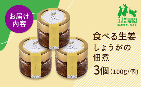 食べる生姜 しょうがの佃煮 3個セット (100g×3個)【うさぎ農園】[AYDJ002]